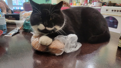 Комментарий с изображением на AdMe.Media