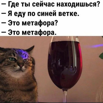 Комментарий с изображением на AdMe.Media
