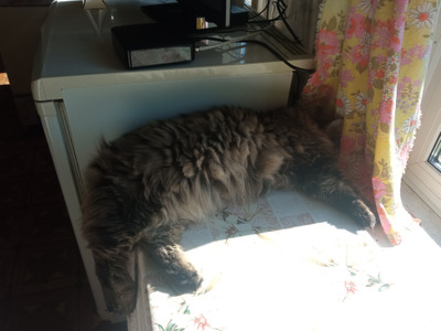 Комментарий с изображением на AdMe.Media