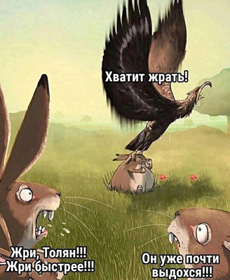 Комментарий с изображением на AdMe.Media