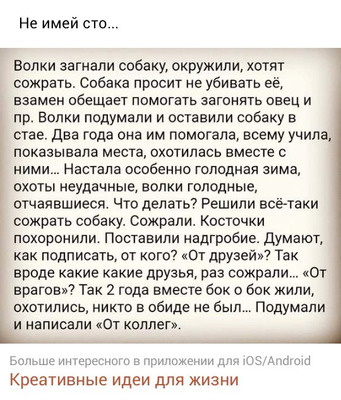 Комментарий с изображением на AdMe.Media