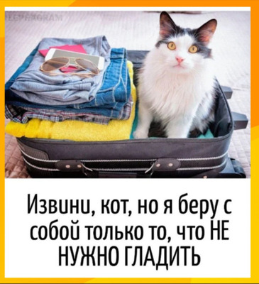 Комментарий с изображением на AdMe.Media