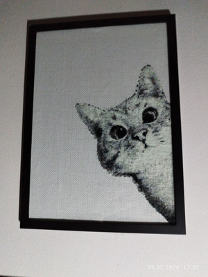 Комментарий с изображением на AdMe.Media