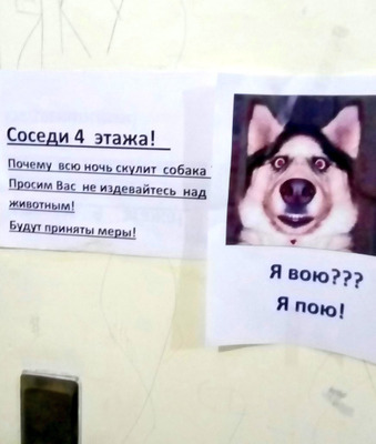 Комментарий с изображением на AdMe.Media