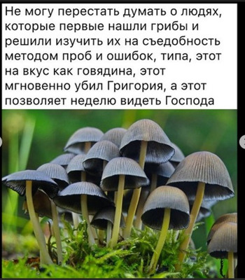 Комментарий с изображением на AdMe.Media