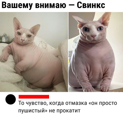 Комментарий с изображением на AdMe.Media
