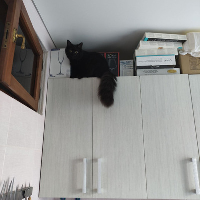 Комментарий с изображением на AdMe.Media