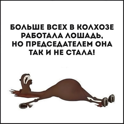Комментарий с изображением на AdMe.Media