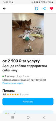 Комментарий с изображением на AdMe.Media