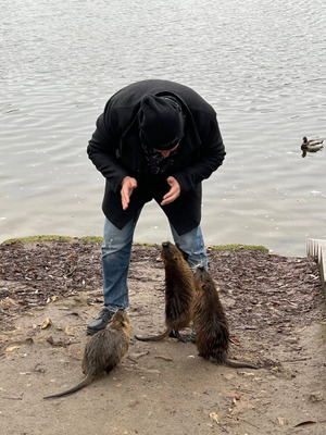 Комментарий с изображением на AdMe.Media