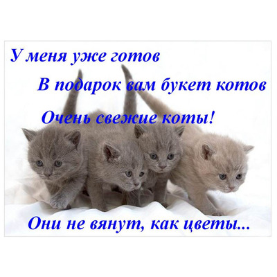 Комментарий с изображением на AdMe.Media