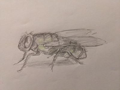 Комментарий с изображением на AdMe.Media