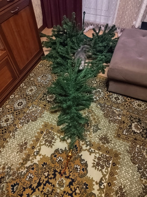 Комментарий с изображением на AdMe.Media