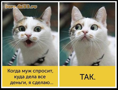 Комментарий с изображением на AdMe.Media