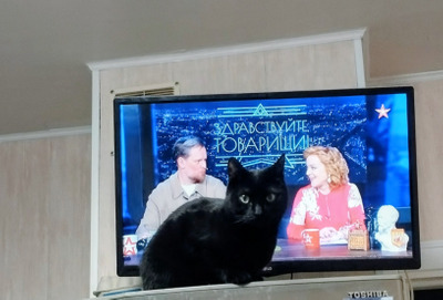 Комментарий с изображением на AdMe.Media