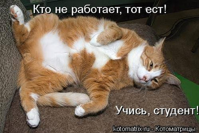 Комментарий с изображением на AdMe.Media