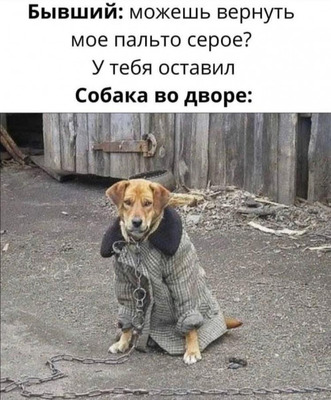 Комментарий с изображением на AdMe.Media