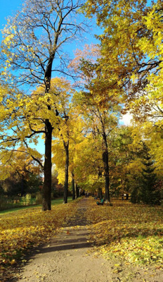 Комментарий с изображением на AdMe.Media