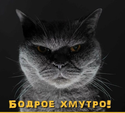 Комментарий с изображением на AdMe.Media