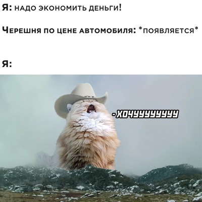 Комментарий с изображением на AdMe.Media