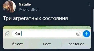 Комментарий с изображением на AdMe.Media