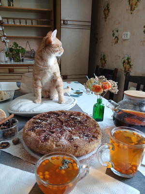 Комментарий с изображением на AdMe.Media