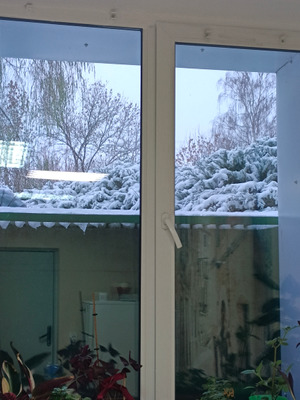 Комментарий с изображением на AdMe.Media