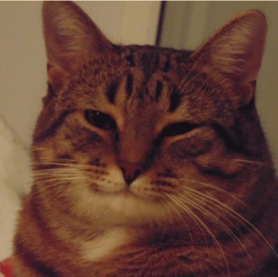 Комментарий с изображением на AdMe.Media