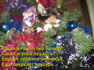 Комментарий с изображением на AdMe.Media