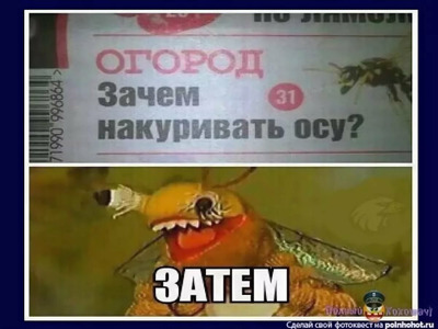 Комментарий с изображением на AdMe.Media