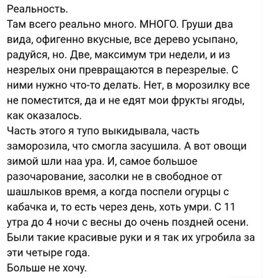 Комментарий с изображением на AdMe.Media