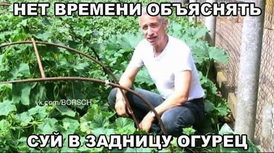Комментарий с изображением на AdMe.Media