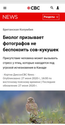 Комментарий с изображением на AdMe.Media