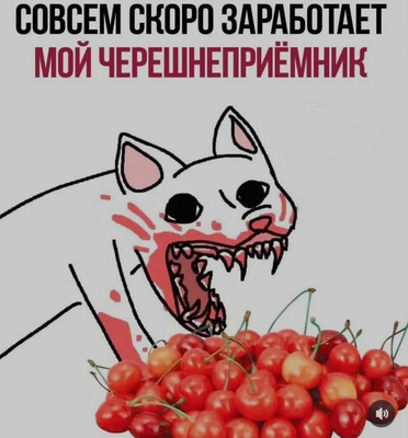 Комментарий с изображением на AdMe.Media