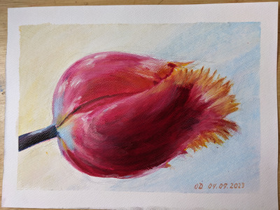 Комментарий с изображением на AdMe.Media