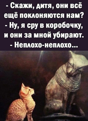 Комментарий с изображением на AdMe.Media