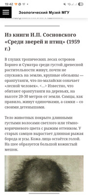Комментарий с изображением на AdMe.Media