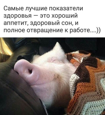 Комментарий с изображением на AdMe.Media