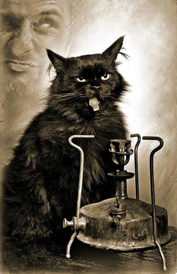 Комментарий с изображением на AdMe.Media