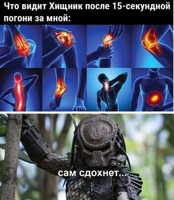 Комментарий с изображением на AdMe.Media