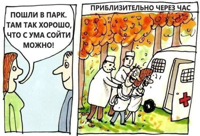 Комментарий с изображением на AdMe.Media