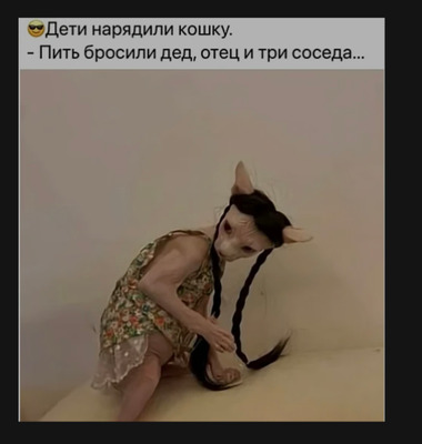 Комментарий с изображением на AdMe.Media