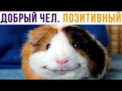 Комментарий с изображением на AdMe.Media