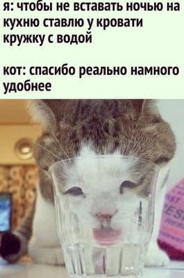 Комментарий с изображением на AdMe.Media