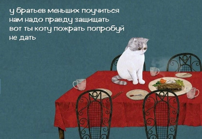 Комментарий с изображением на AdMe.Media