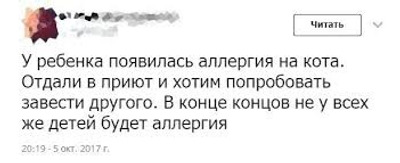 Комментарий с изображением на AdMe.Media
