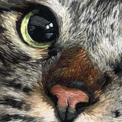 Комментарий с изображением на AdMe.Media