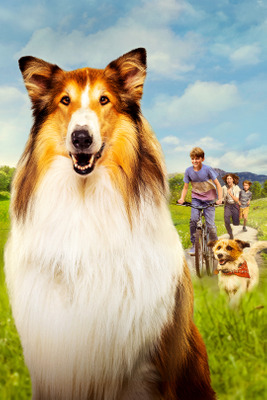 Комментарий с изображением на AdMe.Media