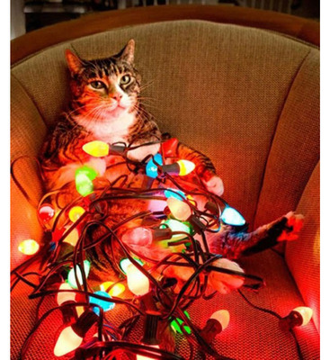 Комментарий с изображением на AdMe.Media