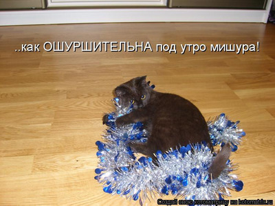 Комментарий с изображением на AdMe.Media